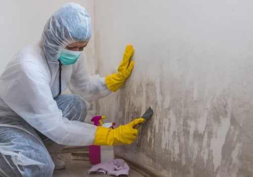 Protect Your Home: Foundation Design & Mold Remediation