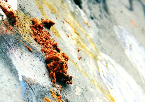 Prevent Mold with Expert Foundation Design and Inspection in Charleston